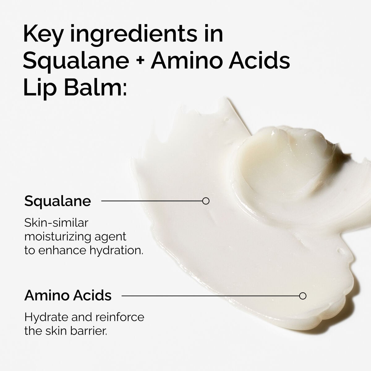 squalane-amino-acids-lip-balm-b3 FY25-D41247-ORD-Web-PDP-Sql-Amino-Lip-1x1-EN-2a.jpg